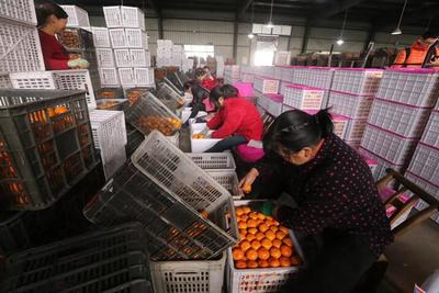 &ldquo;全國網(wǎng)絡(luò)主流媒體行&rdquo;走進(jìn)湖北宜昌 生態(tài)發(fā)展看荊楚 電商平臺助力農(nóng)產(chǎn)品上行